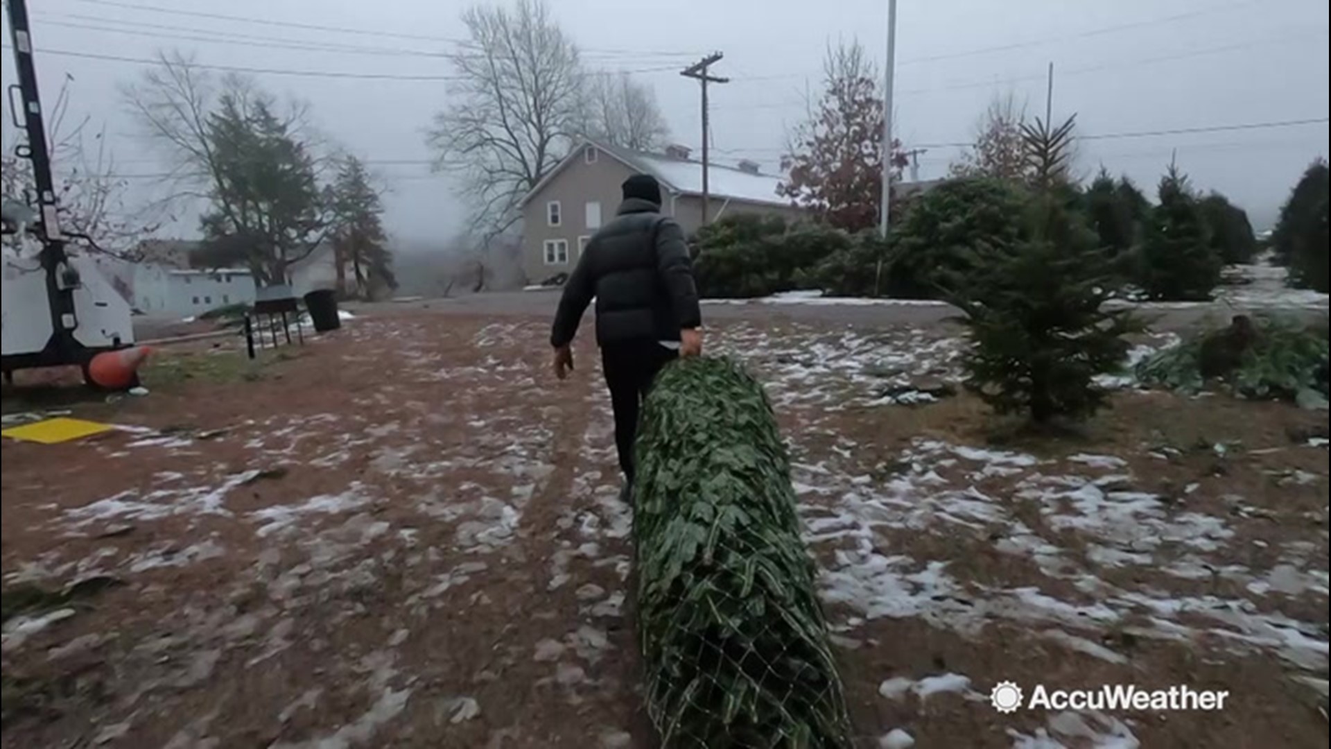 Accuweather's Dexter Henry visited a tree farm for some tips on cutting and transporting Christmas trees home safely in various weather conditions.