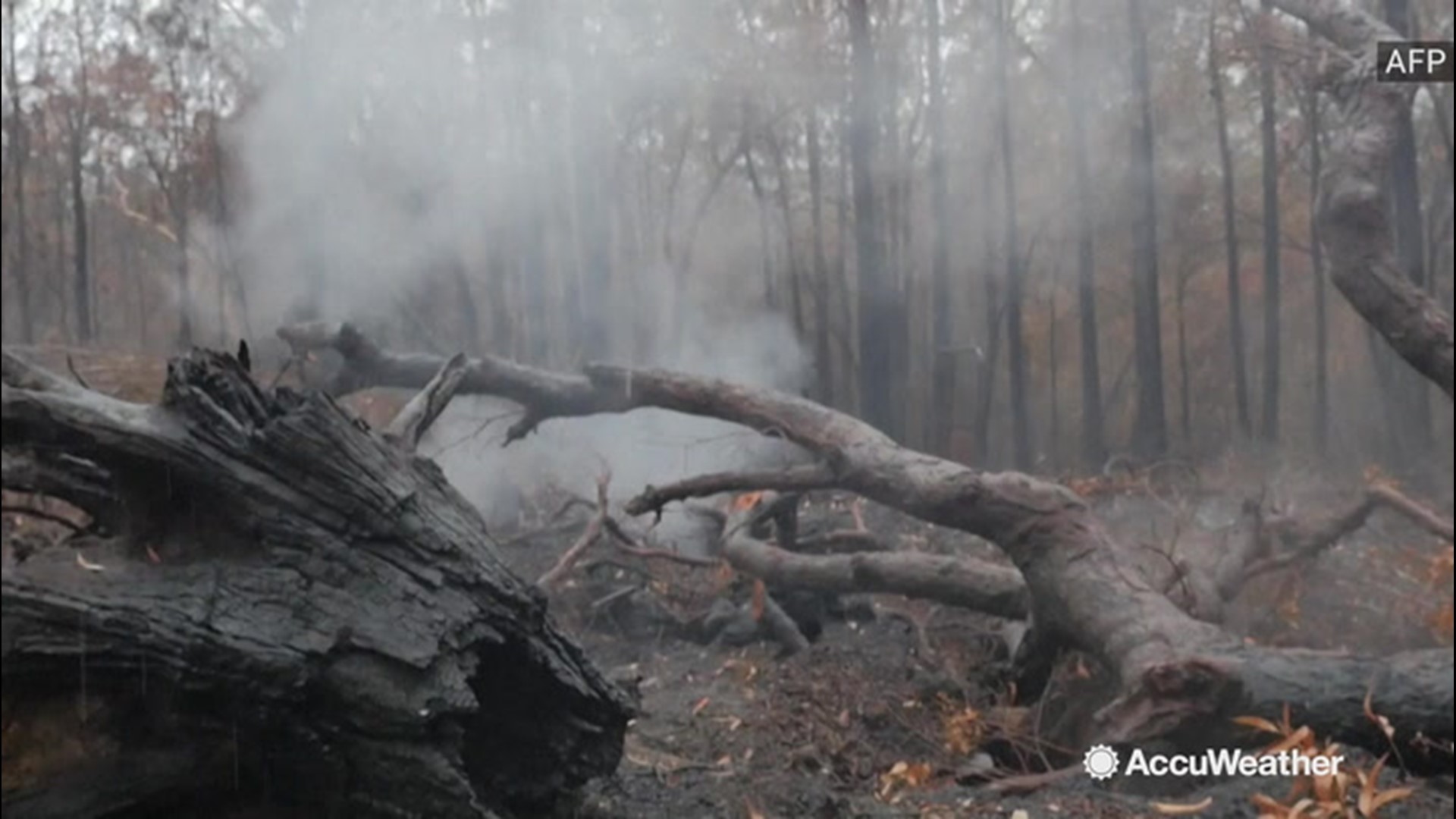 Smoke rose from ashes in Jerrawangala, New South Wales, on Jan. 16, as rain soaked a forest that's been ravaged by a wildfire in recent weeks.