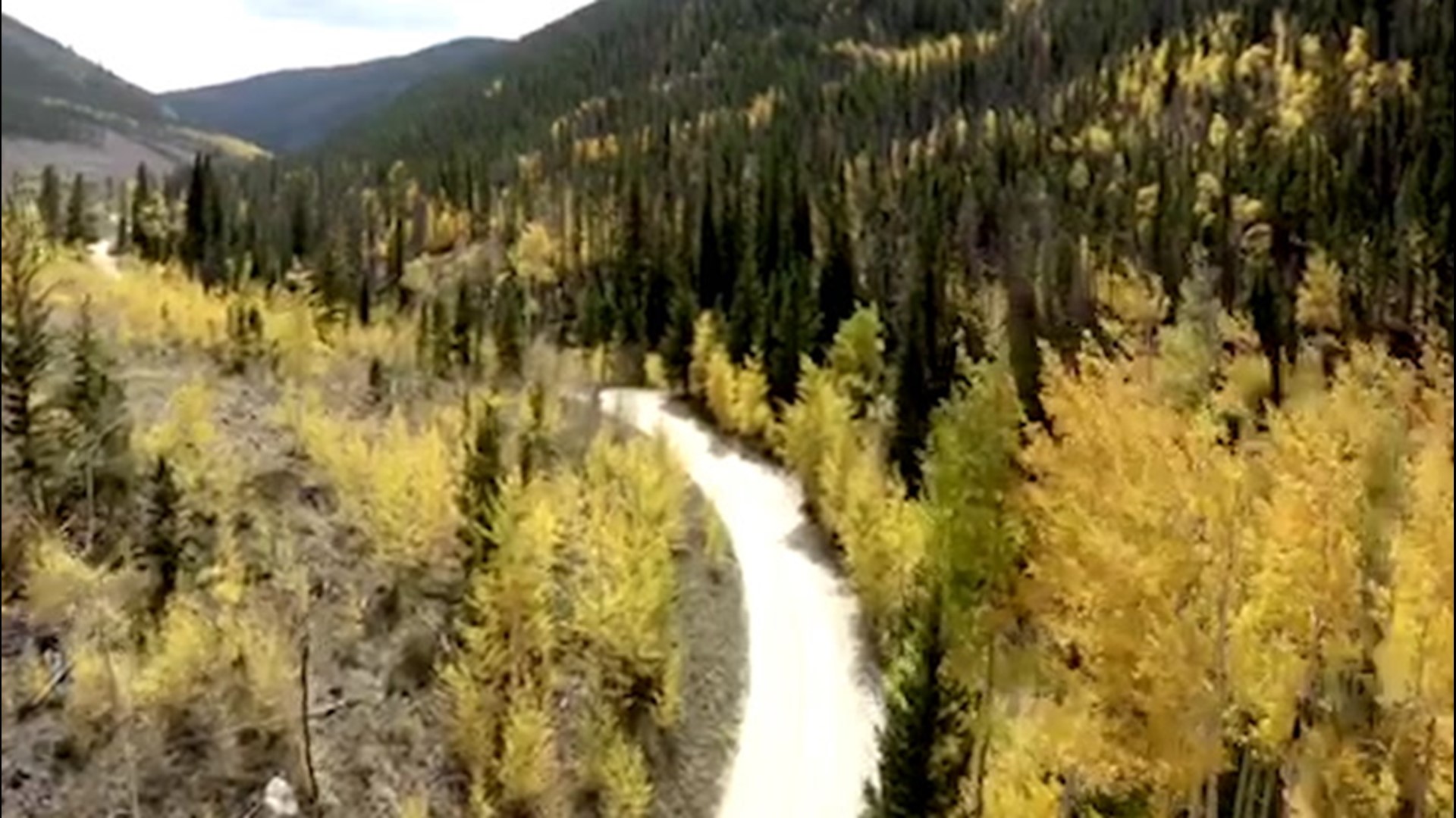 Beautiful fall foliage was spotted in Keystone Gulch, Colorado, on Sept. 22 - the first official day of fall. The leaves were a vibrant yellow color, which popped against the surrounding landscape.