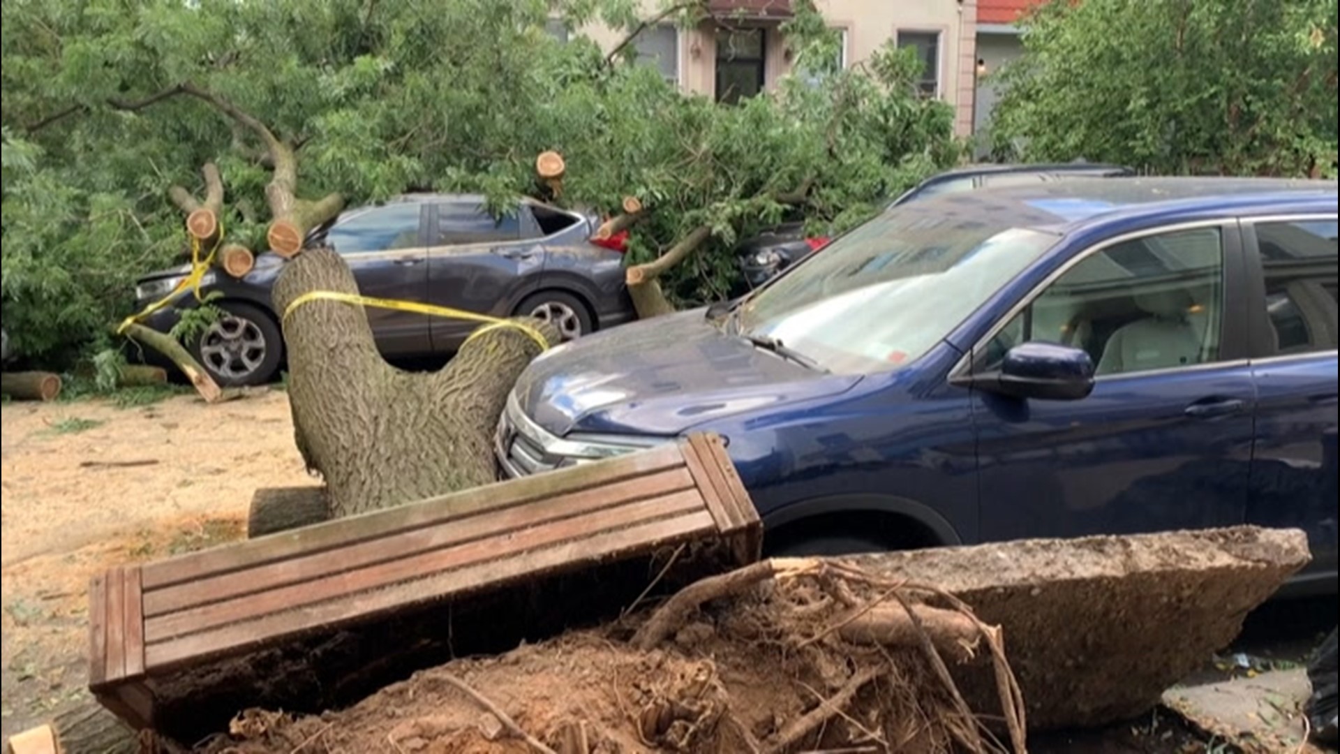 As Isaias wreaked havoc on New York, New York, on Aug. 4, multiple trees were toppled across the city by the storm's powerful winds. One person was killed as a result, after a tree fell on their car.