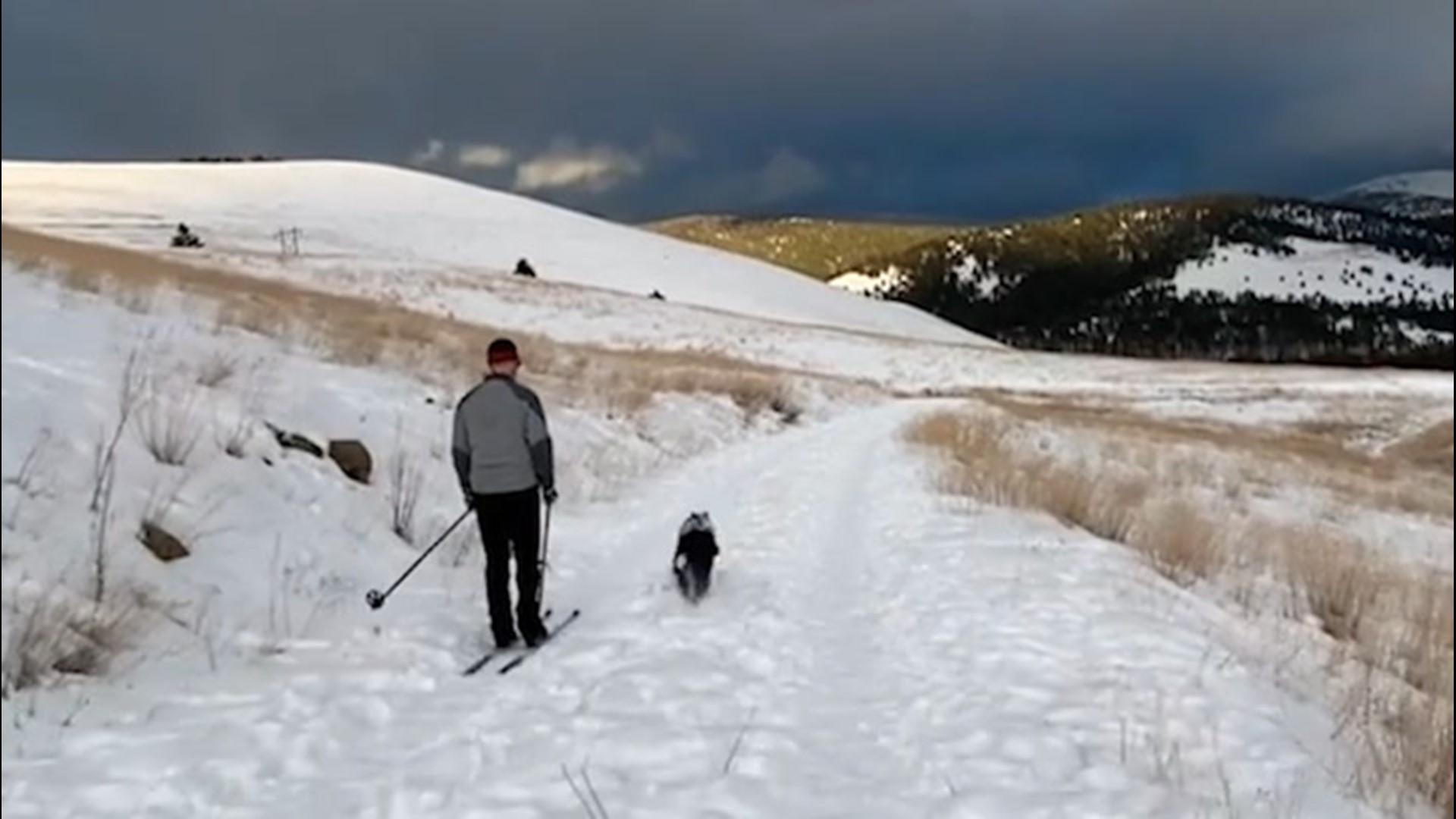 This man enjoyed the snowy weather in Montana on Feb. 22 by cross-country skiing, with his dog ScripScrap running right alongside.
