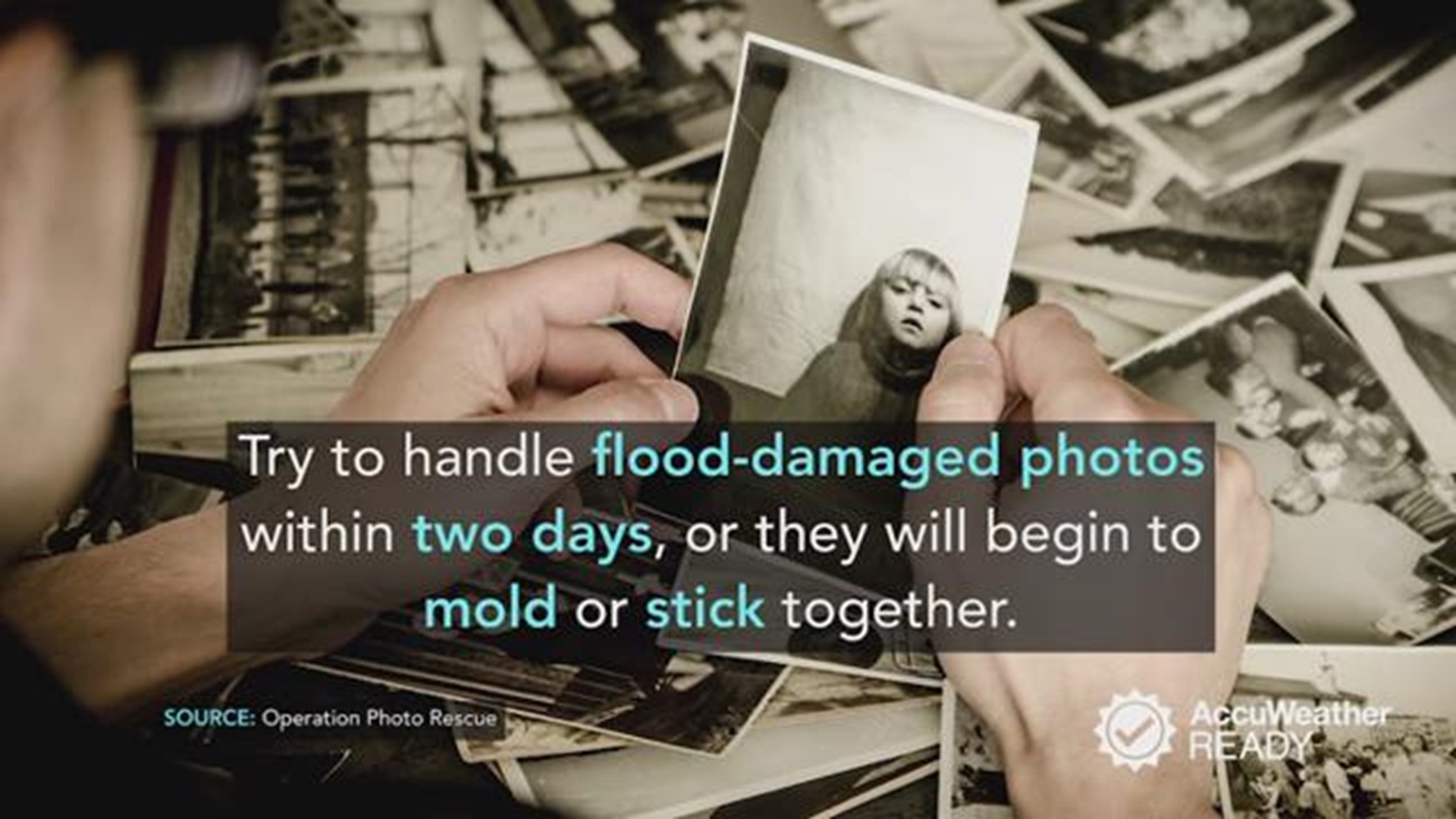 If you return home after a flood to find your cherished family photos soaked with water or mud, keep these tips in mind. Your images might actually be recoverable. 