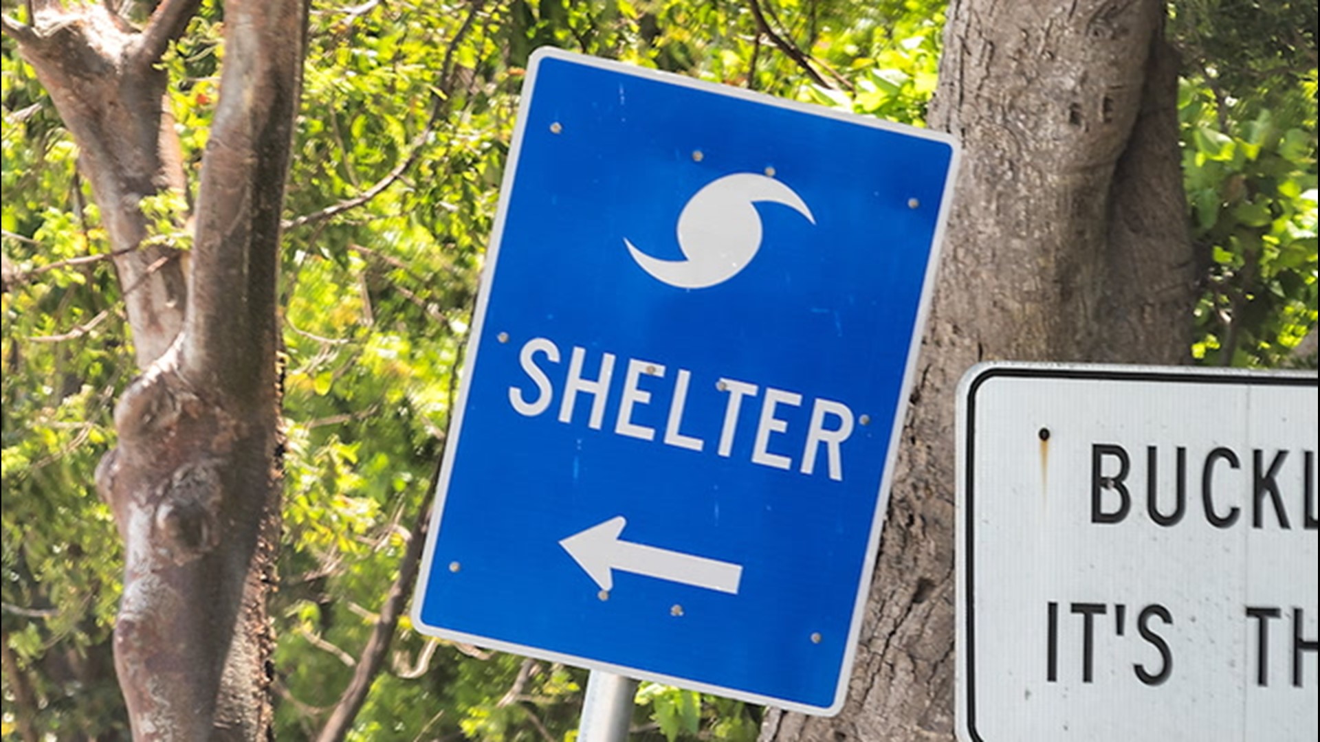 If you're in the direct path of a hurricane and need to seek shelter, here's how you can maintain social distancing while taking refuge.