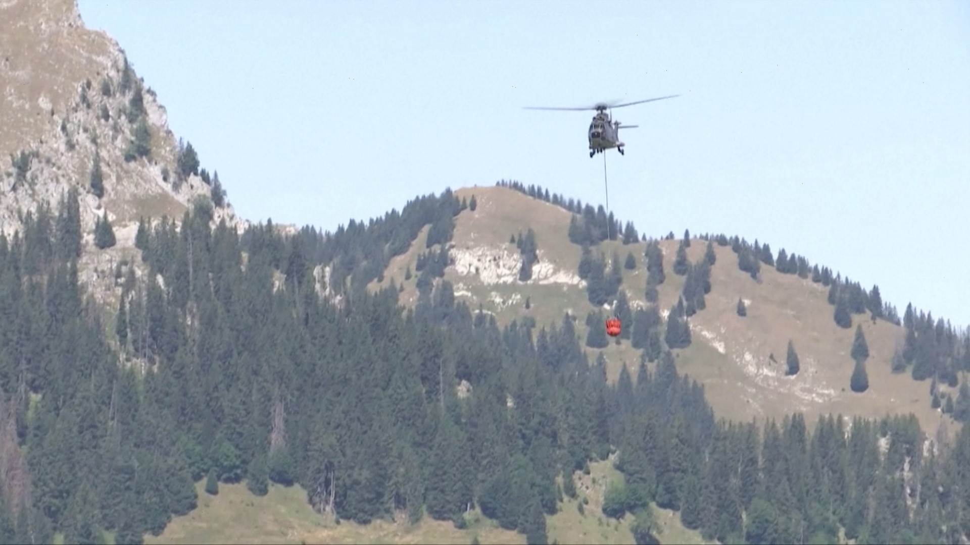 Swiss army helicopters are airlifting water to thousands of thirsty farm animals sweltering under this summer's high temperatures in the Alpine meadows. Buzz60's Johana Restrepo has more.