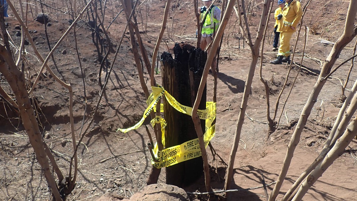 Investigators examine debris to help find how Maui wildfire spread - Vimarsana News