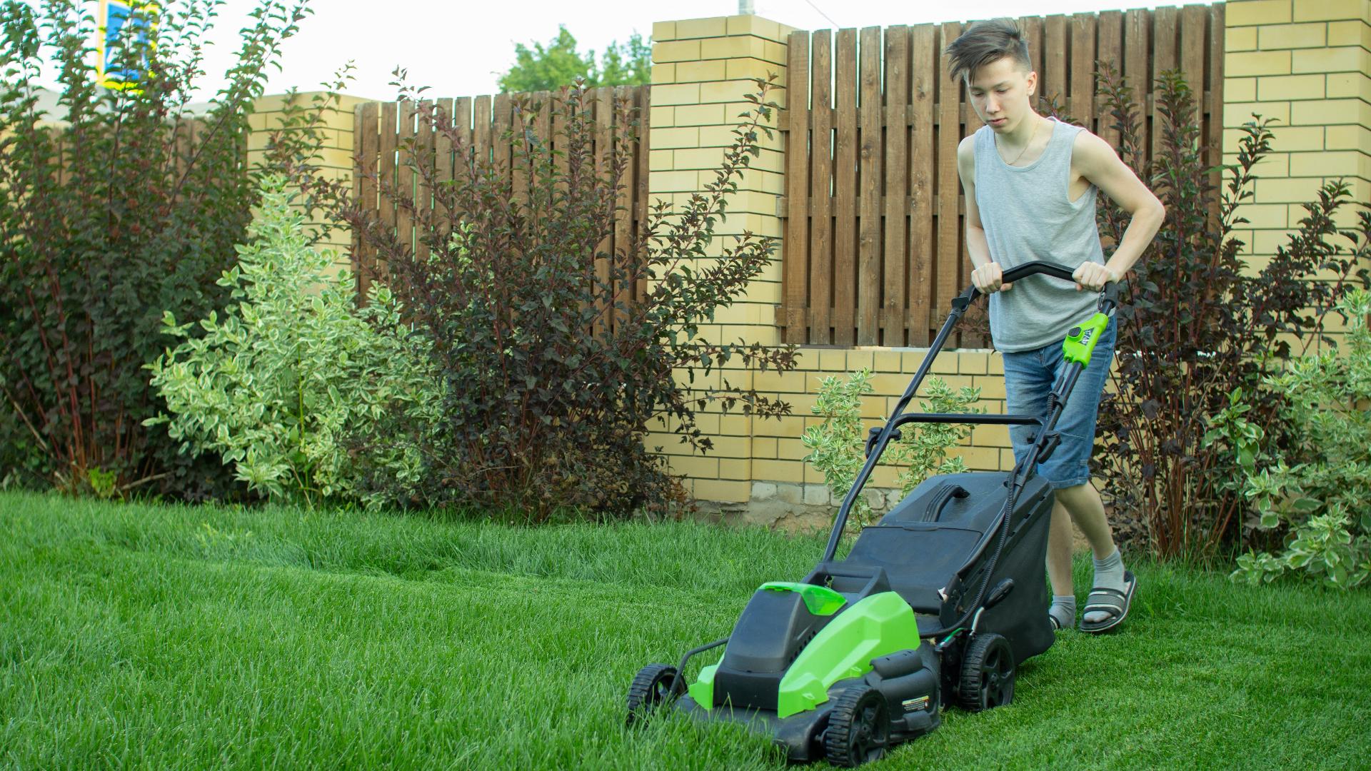 Safer fall clean up for kids | Consumer Reports | wfmynews2.com