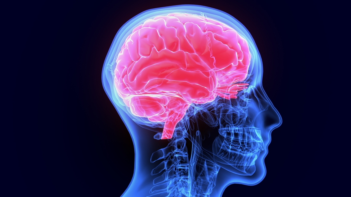 Predicting falls, resetting immune systems and playing pickleball safely