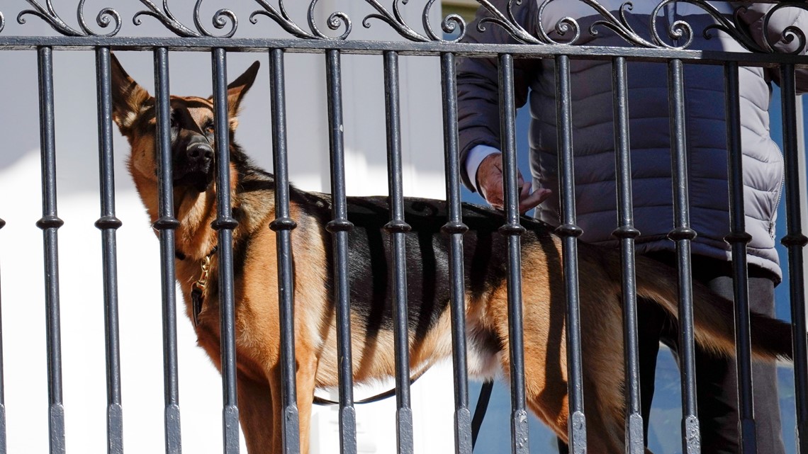 Biden's dog Commander bit Secret Service officers, records show - Vimarsana News
