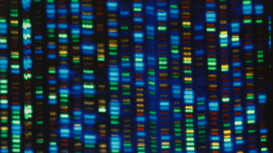 Human genome decoded fully | wfmynews2.com - Vimarsana News