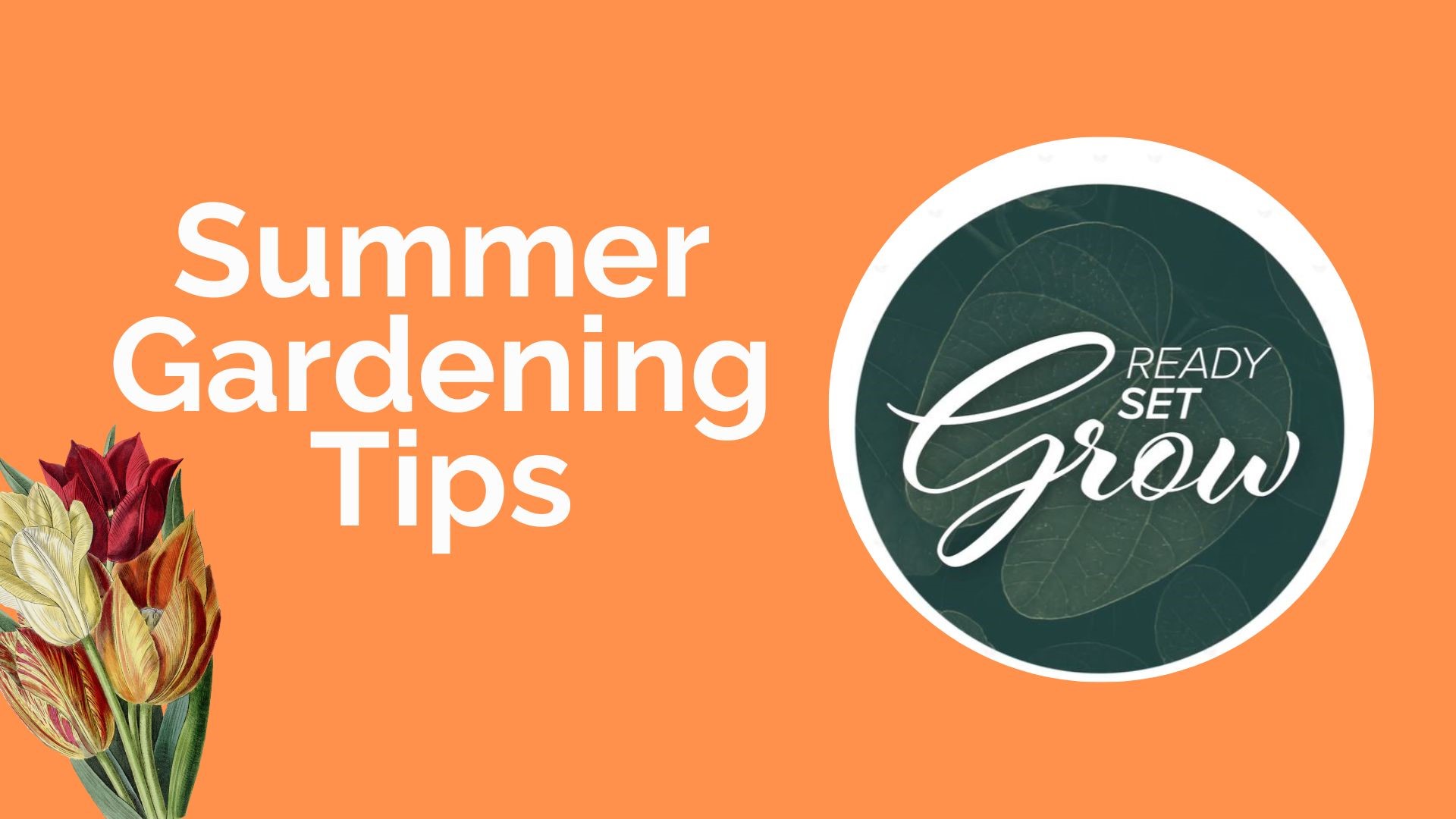Tips to keep your lawn and garden safe in the heat, as well as keep your yard free of mosquitoes. Plus how you can grow your own herbs, onions and leeks.