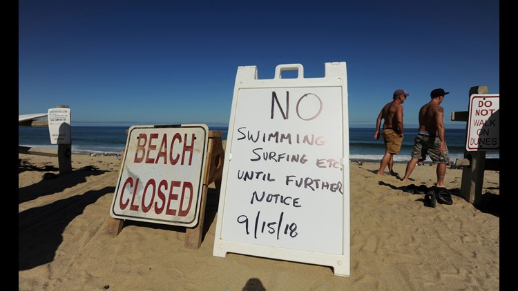 Boy attacked by shark while diving for lobsters in California