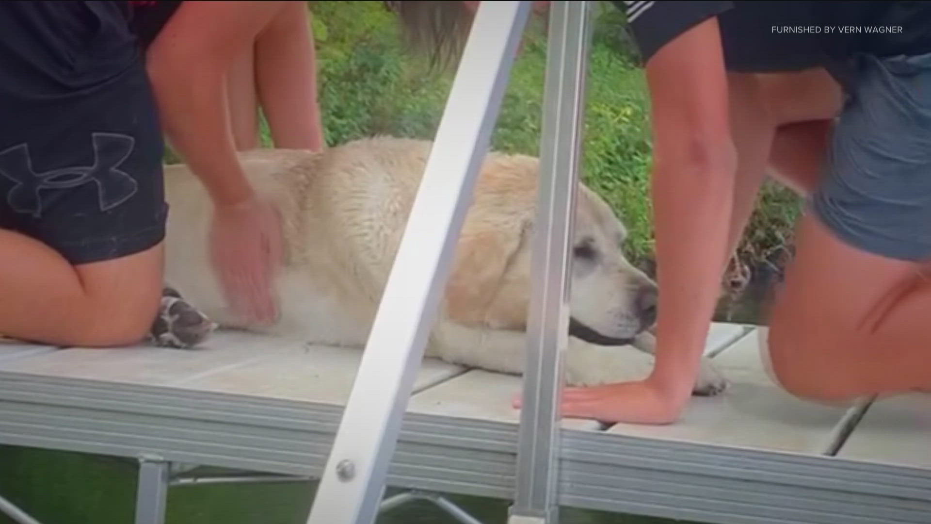 Jacob Jensen and Mason Willet were fishing when they spotted a dog named Chester struggling to keep his head above water.