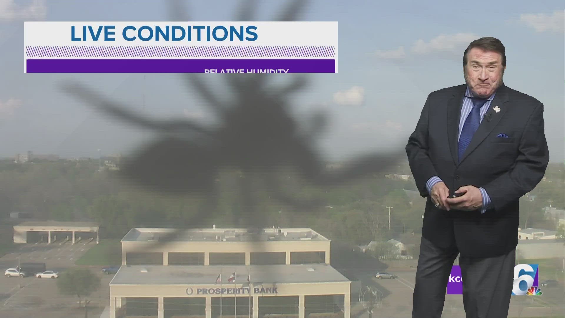 A large bug took a liking to our live weather camera, attempting to intimidate Chief Meteorologist Andy Andersen.