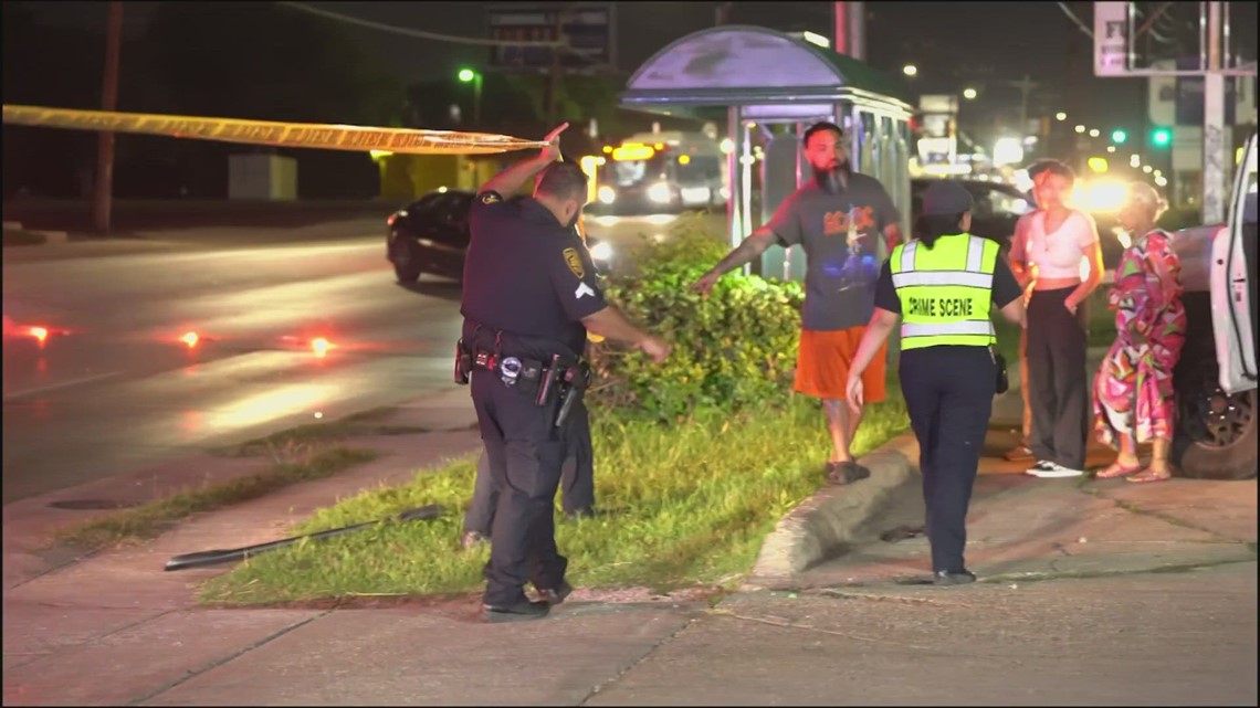 Man arrested in Texas hitandrun that left teen braindead