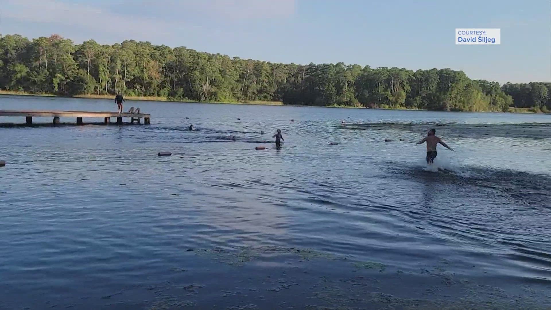 Fortunately, everyone was able to get out of the water unharmed.