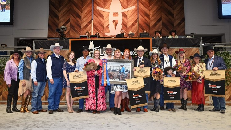 Teen breaks her own record at Texas rodeo art auction