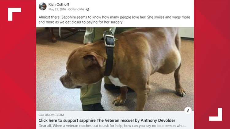 US Rep. George Santos accused of stealing funds for veteran's dying dog