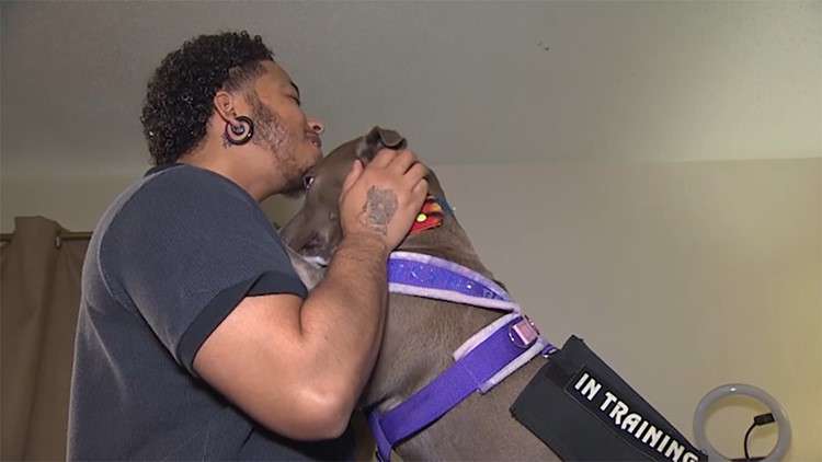 Man says Houston-area hotel didn't follow ADA rules when he showed up with his service dog