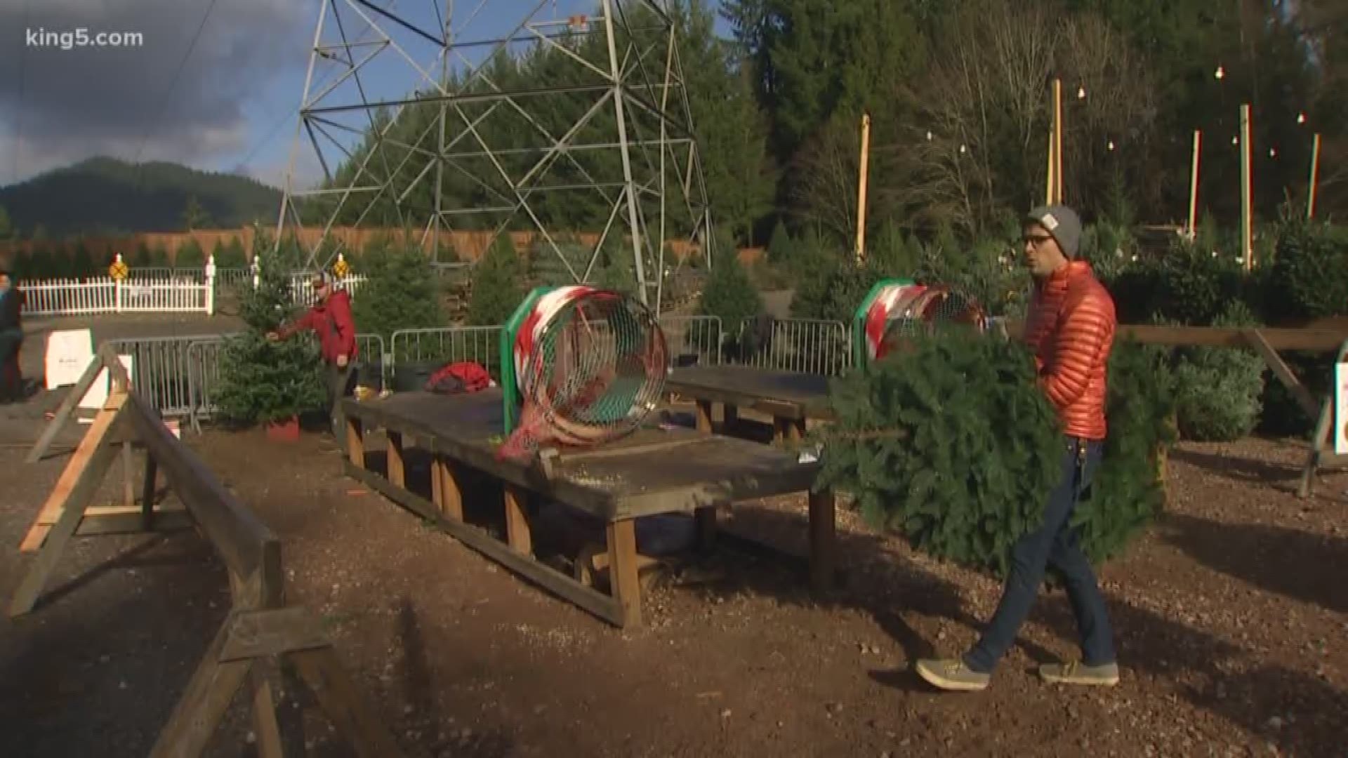 Supplies at Christmas tree lots are down this year, while demand has been rising.  So expect to pay more this holiday season.