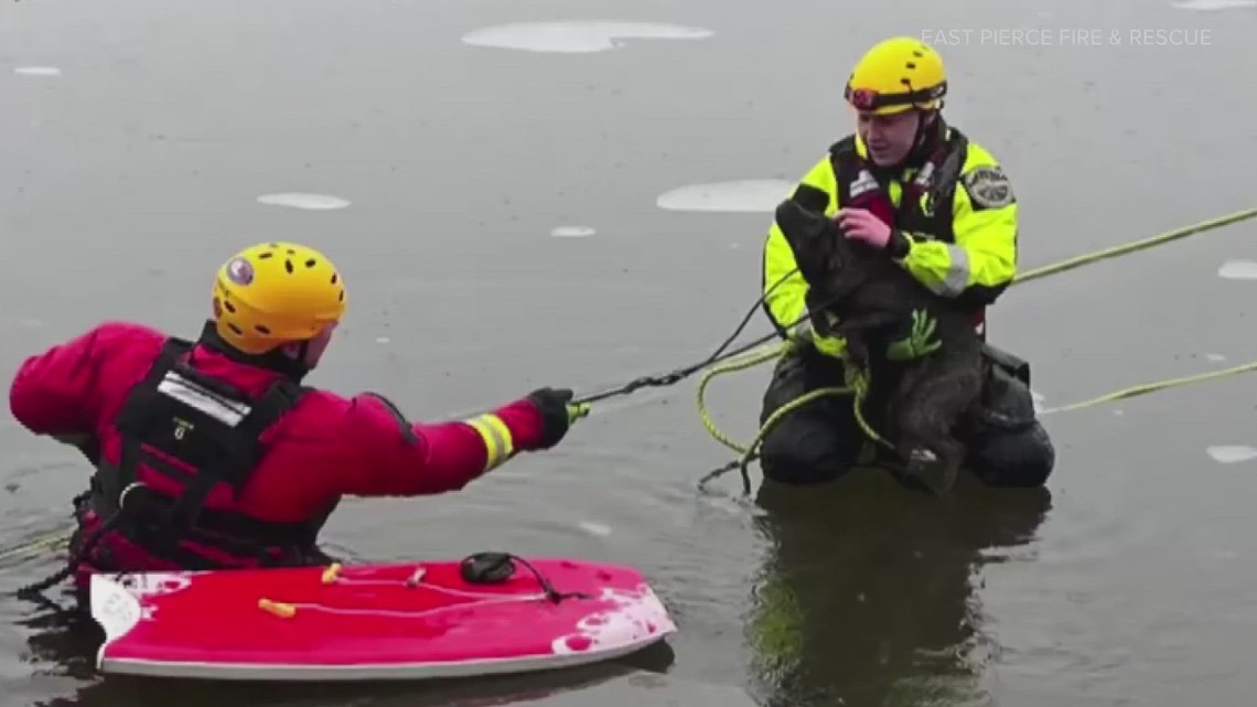 Bonney Lake firefighters rescue dog from frozen lake - Vimarsana News