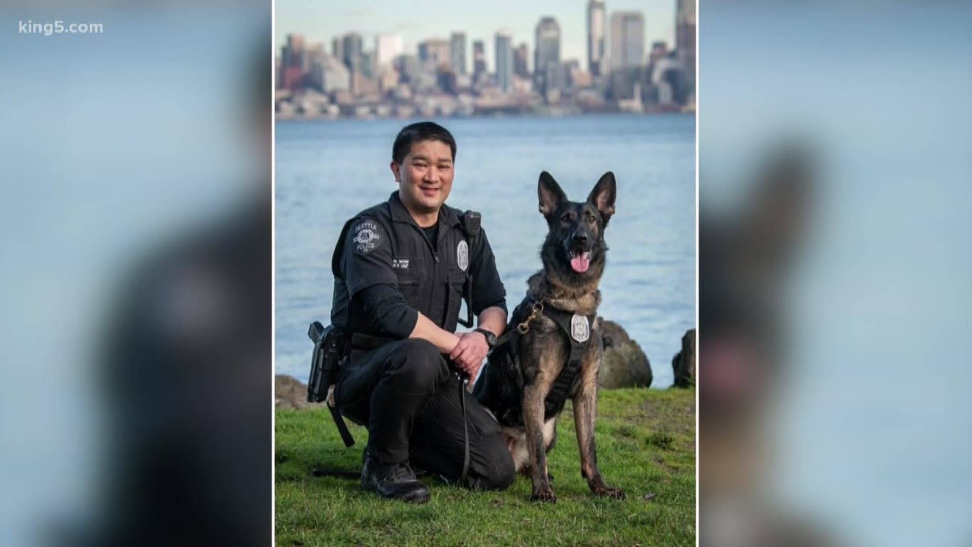 Seattle police K9 Katniss and her partner Officer Wong caught a suspect allegedly stealing packages in the Queen Anne neighborhood.
