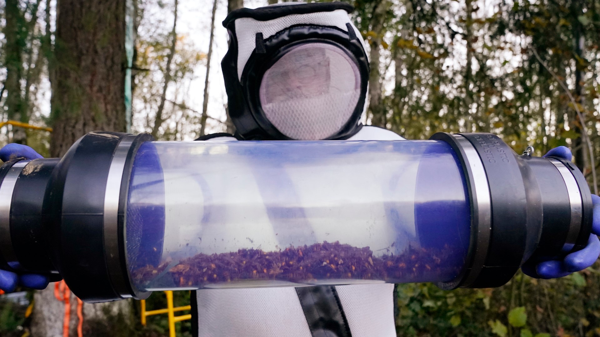 Will Your Insurance Cover Contaminated Gas?
