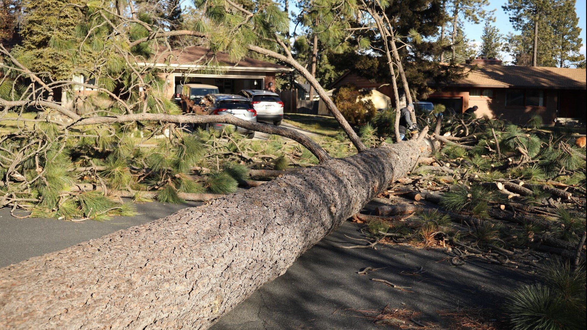 Latest updates on Spokanearea road closures during windstorm