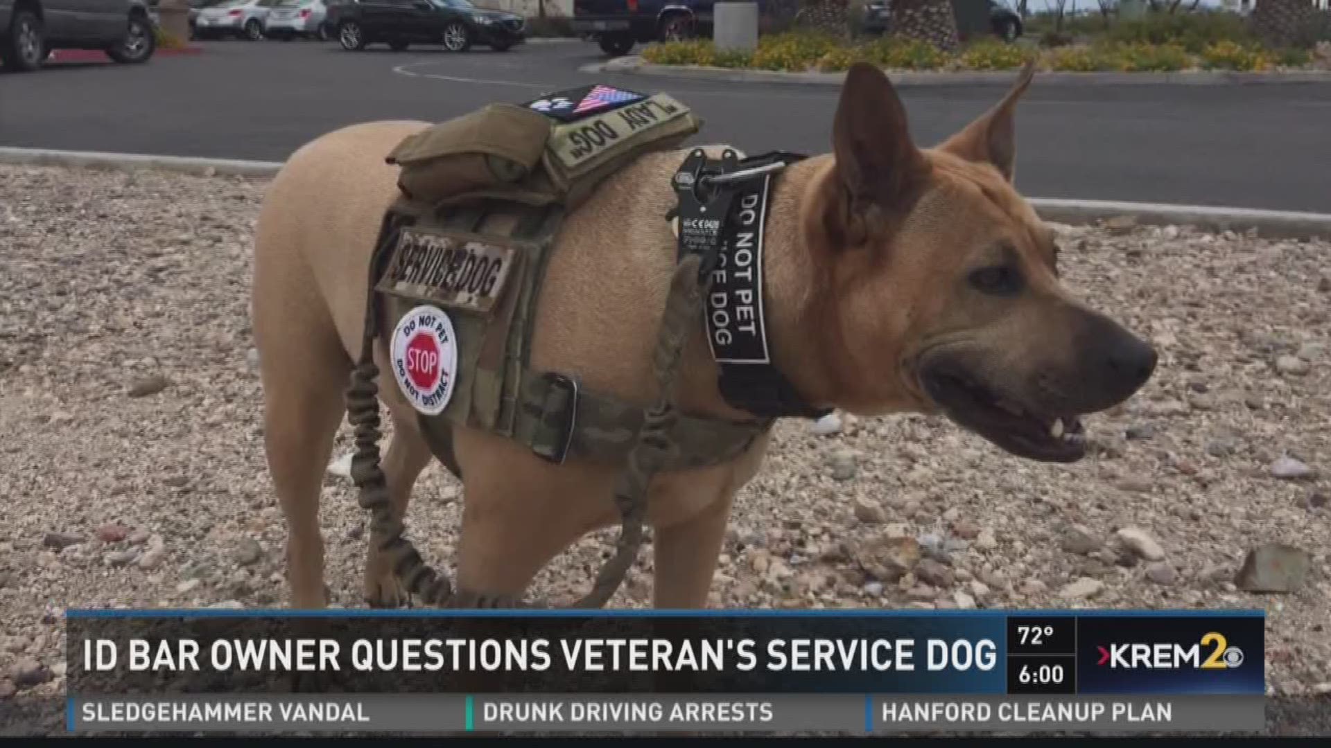 are service dogs allowed in bars