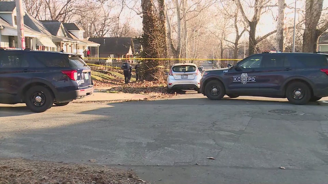 Kansas City mother kills baby after mistakenly laying her in oven ...