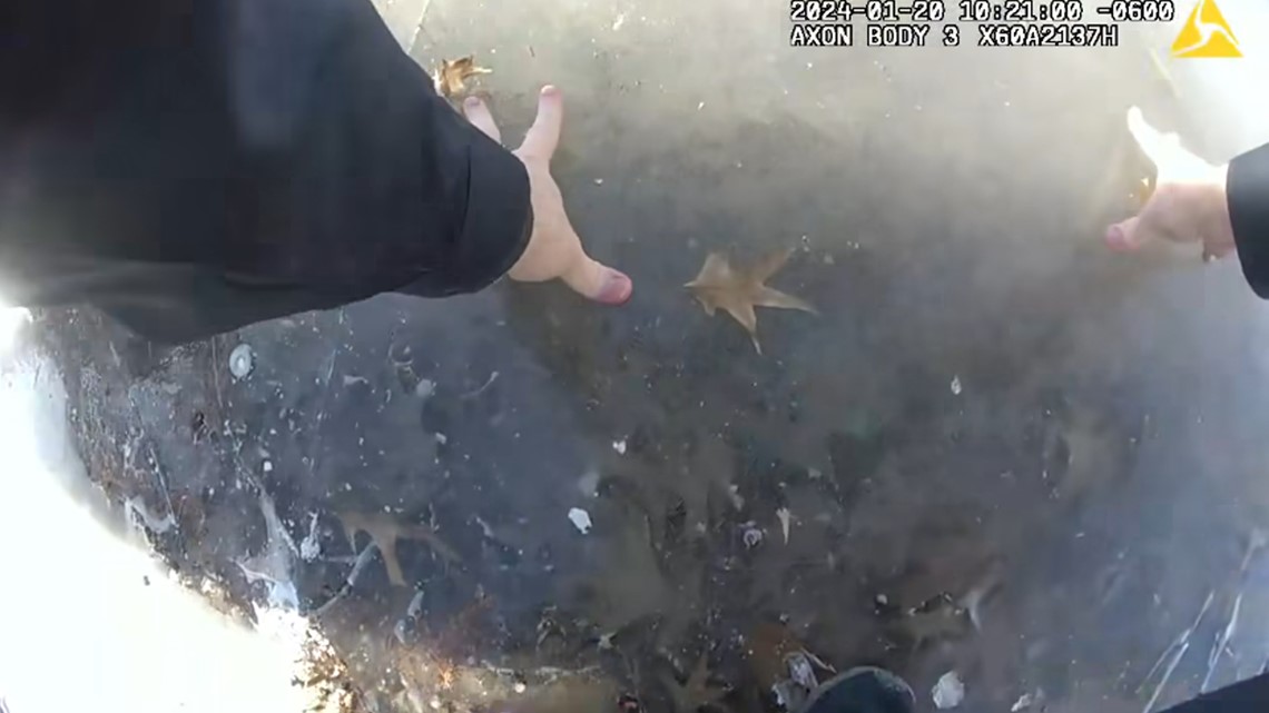 Jonesboro officer saves kid who fell through pond - Vimarsana News