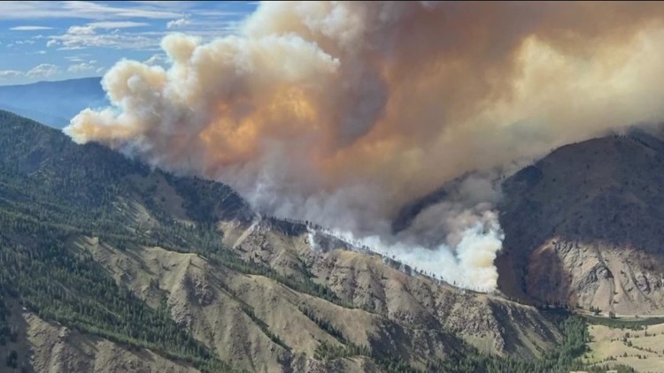 Moose Fire, Idaho's largest of 2022, nearly 75,000 acres