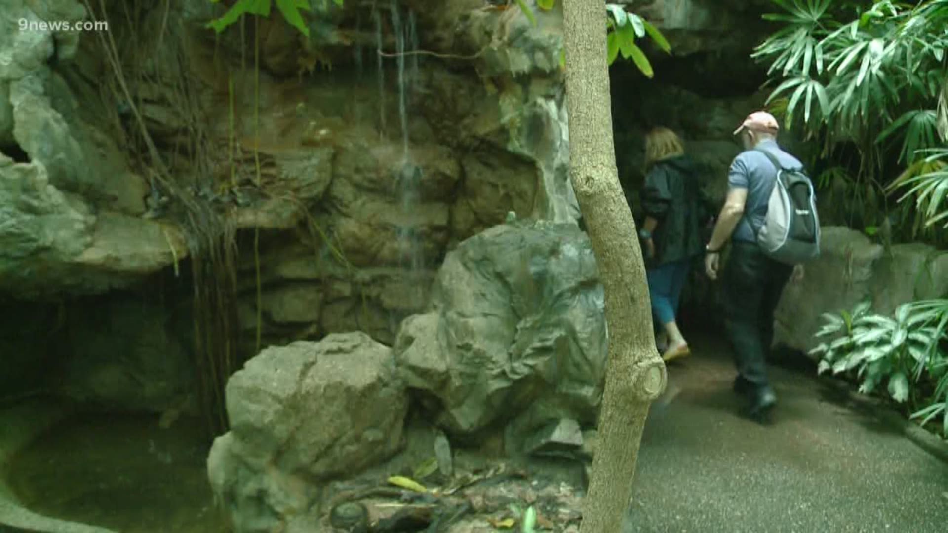 The zoo is in the process of moving animals that live there now to other exhibits, or to a different zoo entirely.