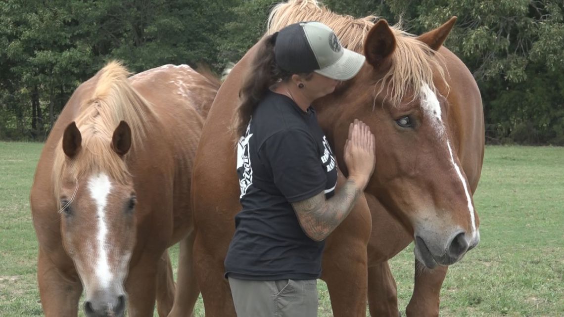 Lightning strike kills 5 horses at Texas equine rescue