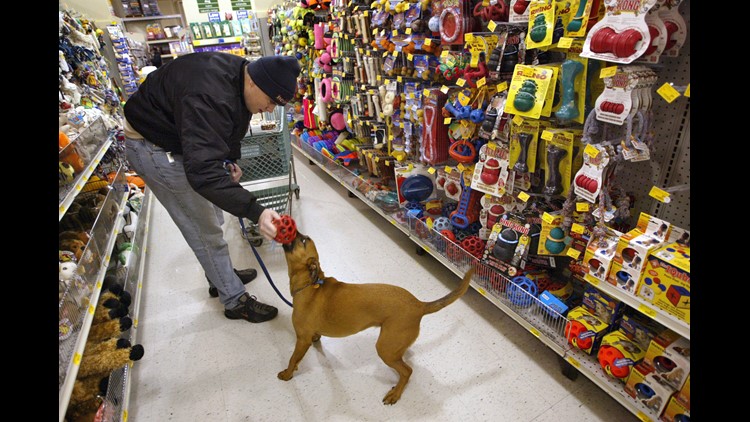 petsmart grooming salon