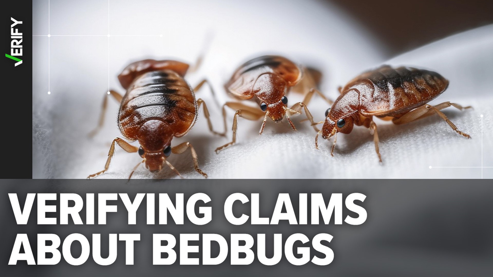 Bedbugs can be very difficult to eliminate if you have an infestation. We’re VERIFYING three ways to get rid of these pesky pests.