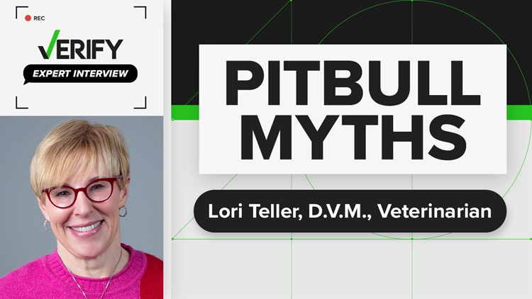 Myths about Pitbulls | Expert Interview with Lori Teller, D.V.M.