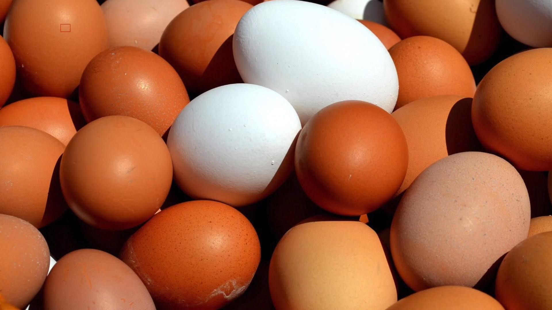 Salmonella Cases Climb In Massive Rose Acre Egg Recall Wfmynews2 Com