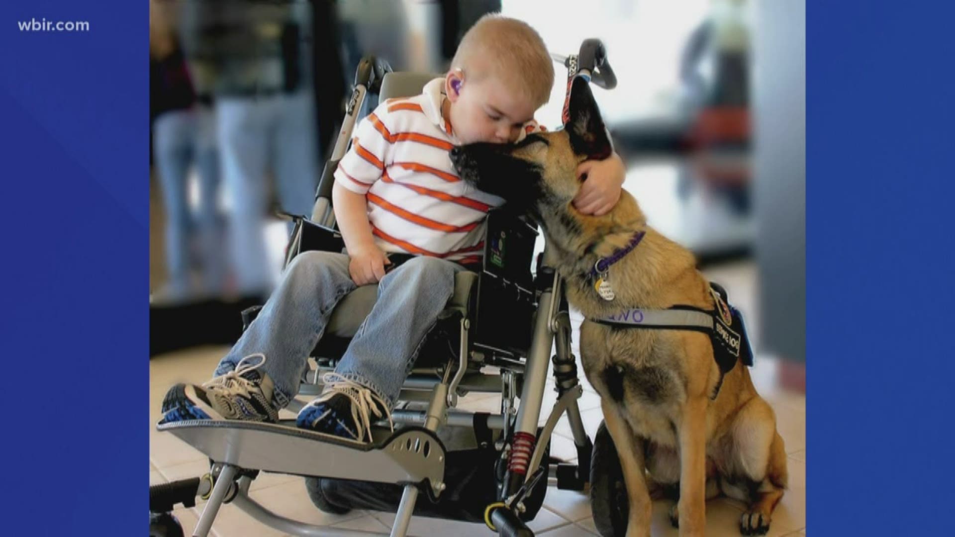 In 2012, Russell Biven profiled a dog named Juno—a dog that was hours away from being euthanized but was saved and trained as a service dog for the Hembree family.