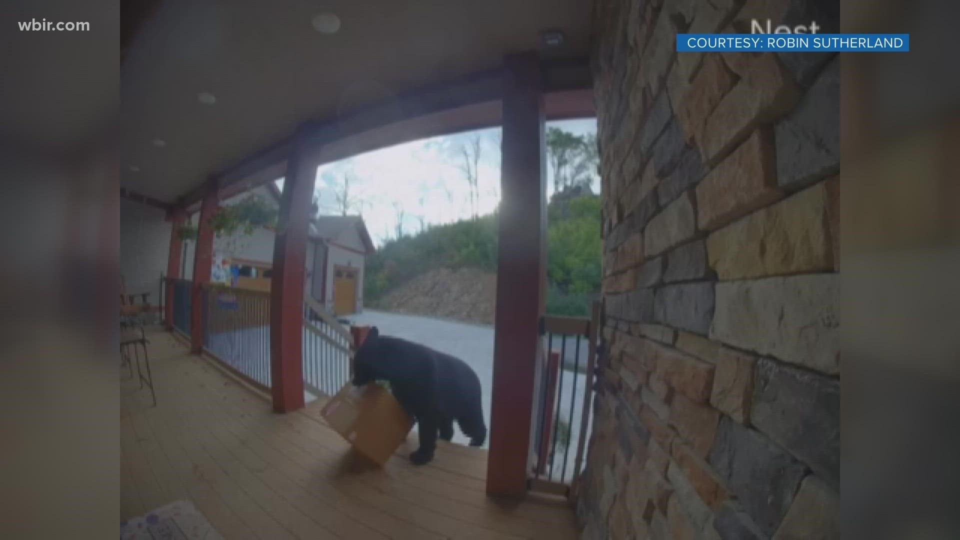 The bear took the more than 30-pound package right off her porch.