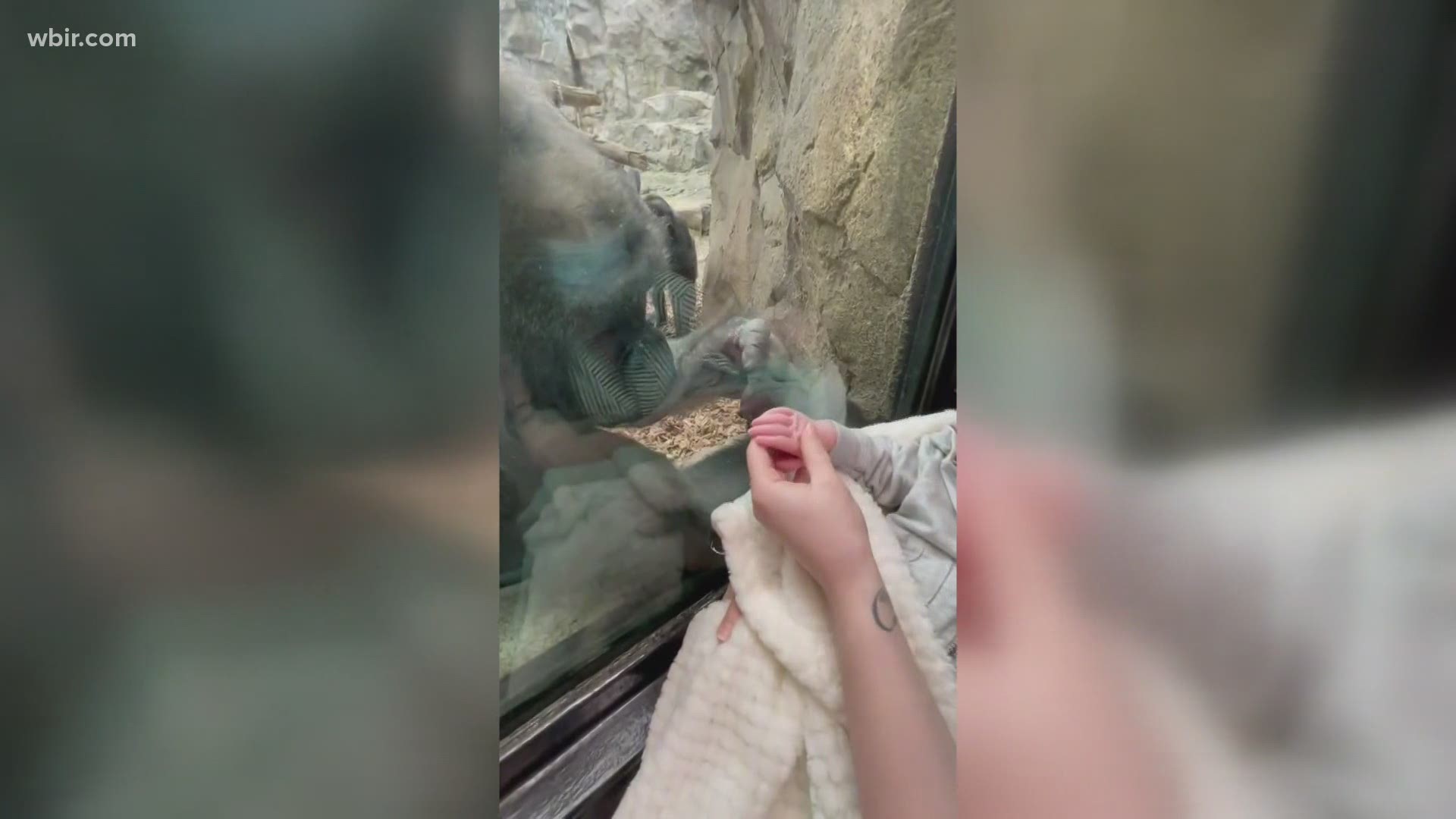 One mom in Maine made a visit to the Franklin Park Zoo in Boston.. and made an unexpected friend while she was there.