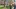 7 dead including shooter; suspect and victims identified after shooting at private Nashville school