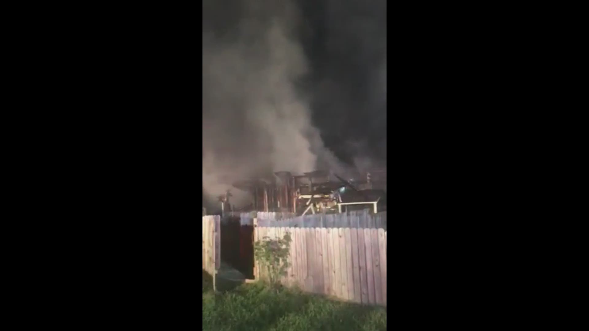 Multiple dogs were removed from the burning structure. (video via Erika Abrams)