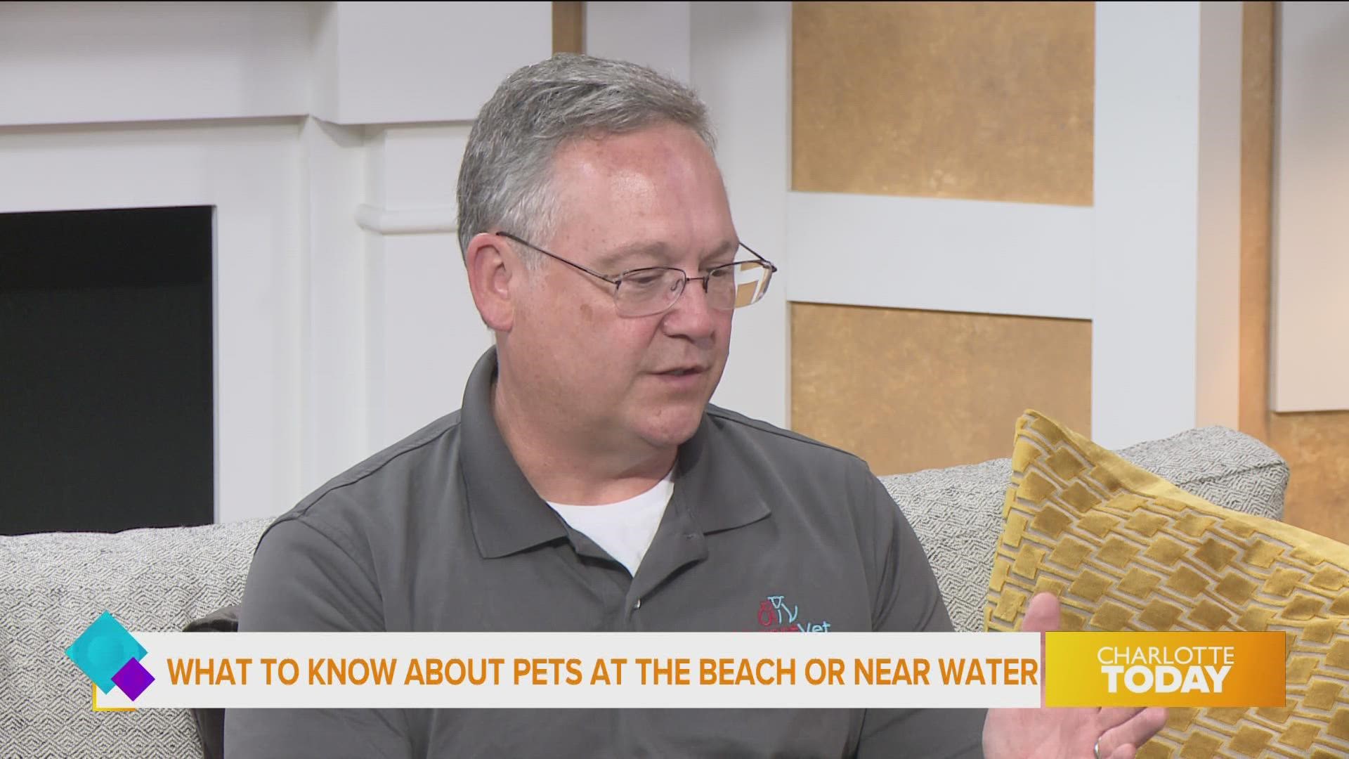 Tips to keep your pet safe during the summer