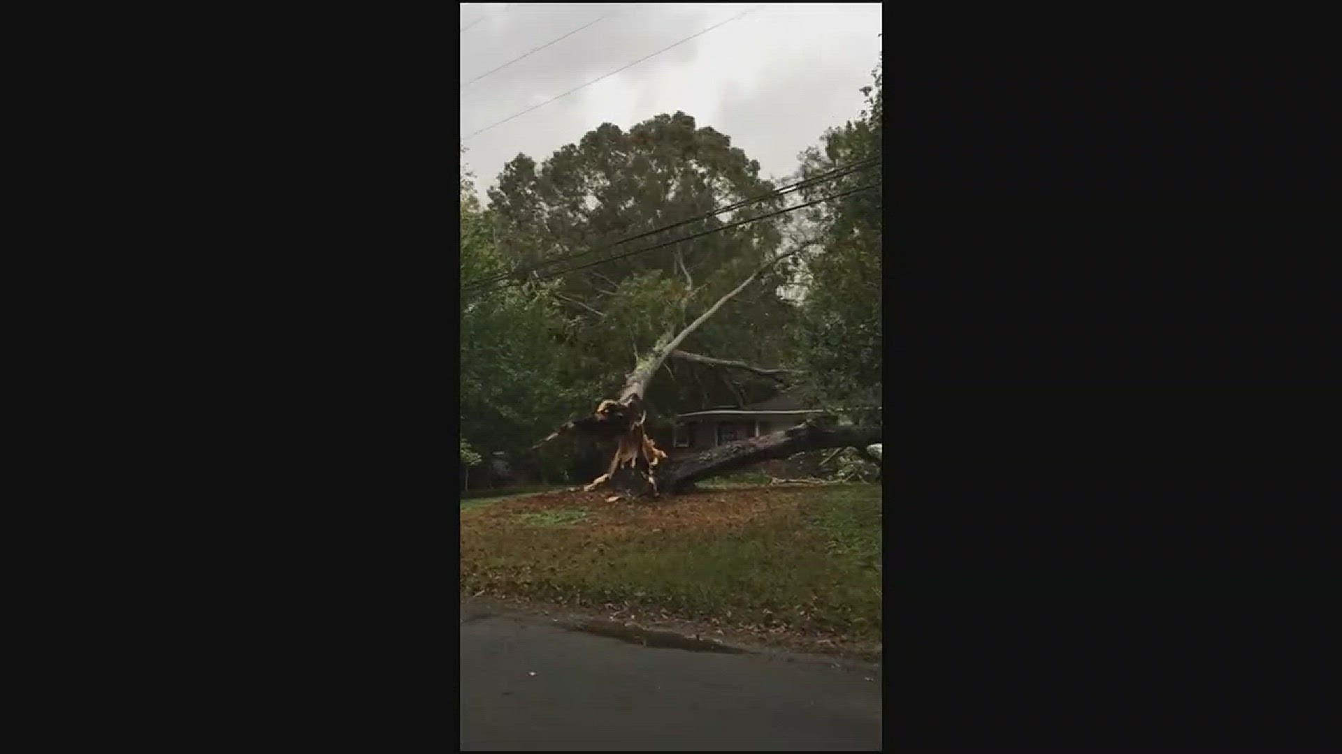 A viewer sent NBC Charlotte a video of a tree smashing the roof of a Stanley home.