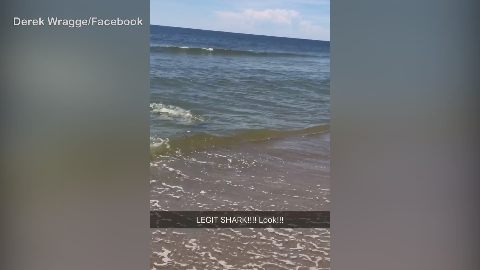 A North Carolina man spotted a shark thrashing in knee-deep water on Bald Head Island.