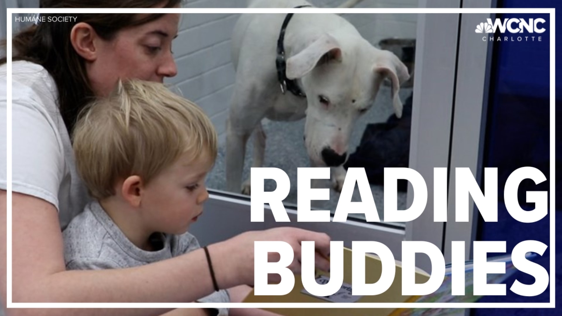 Kids in Charlotte are practicing their reading skills by reading to shelter dogs at the Humane Society of Charlotte.