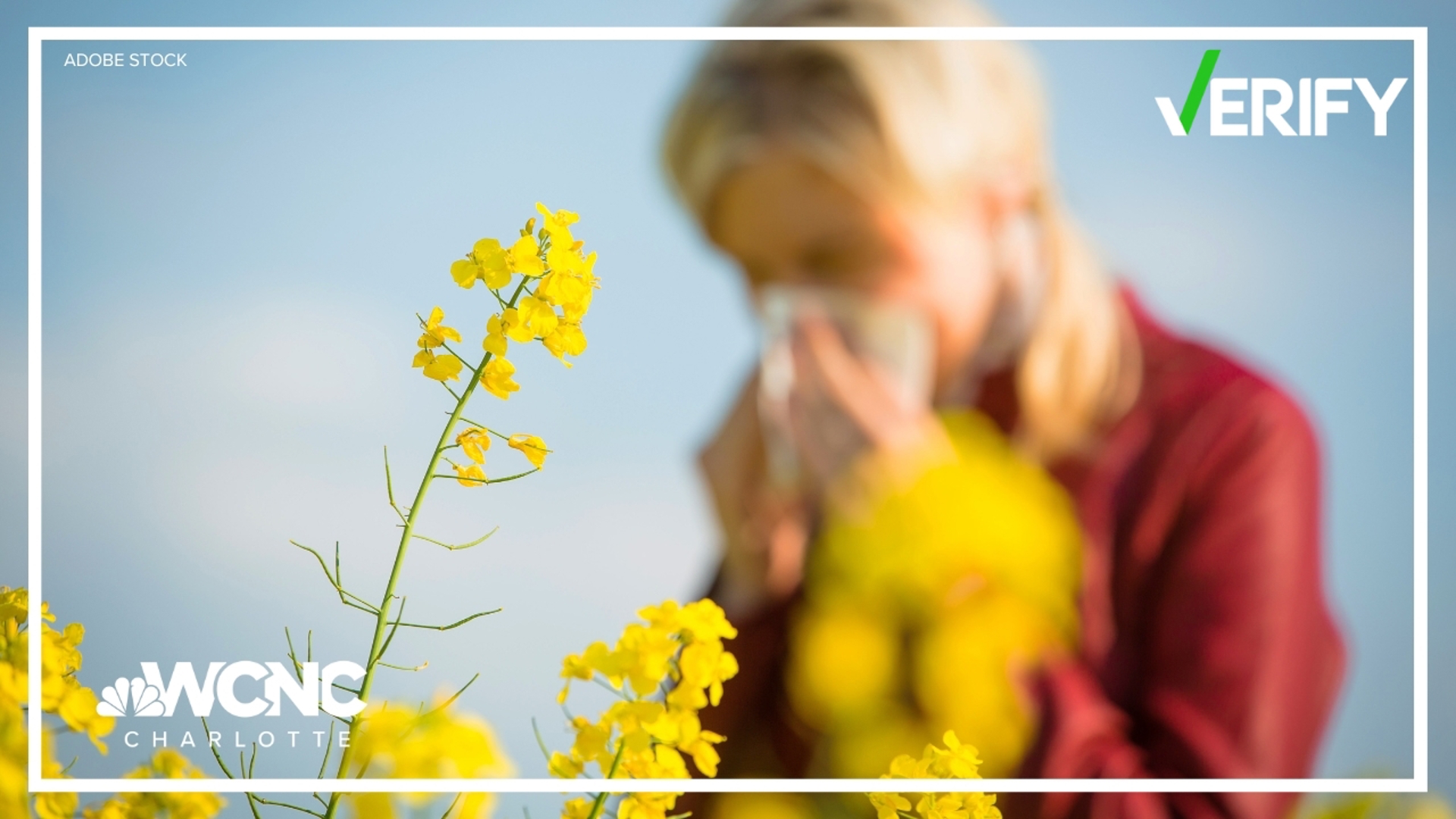According to the Asthma and Allergy Foundation of America, February to April is the peak times for tree allergies.
