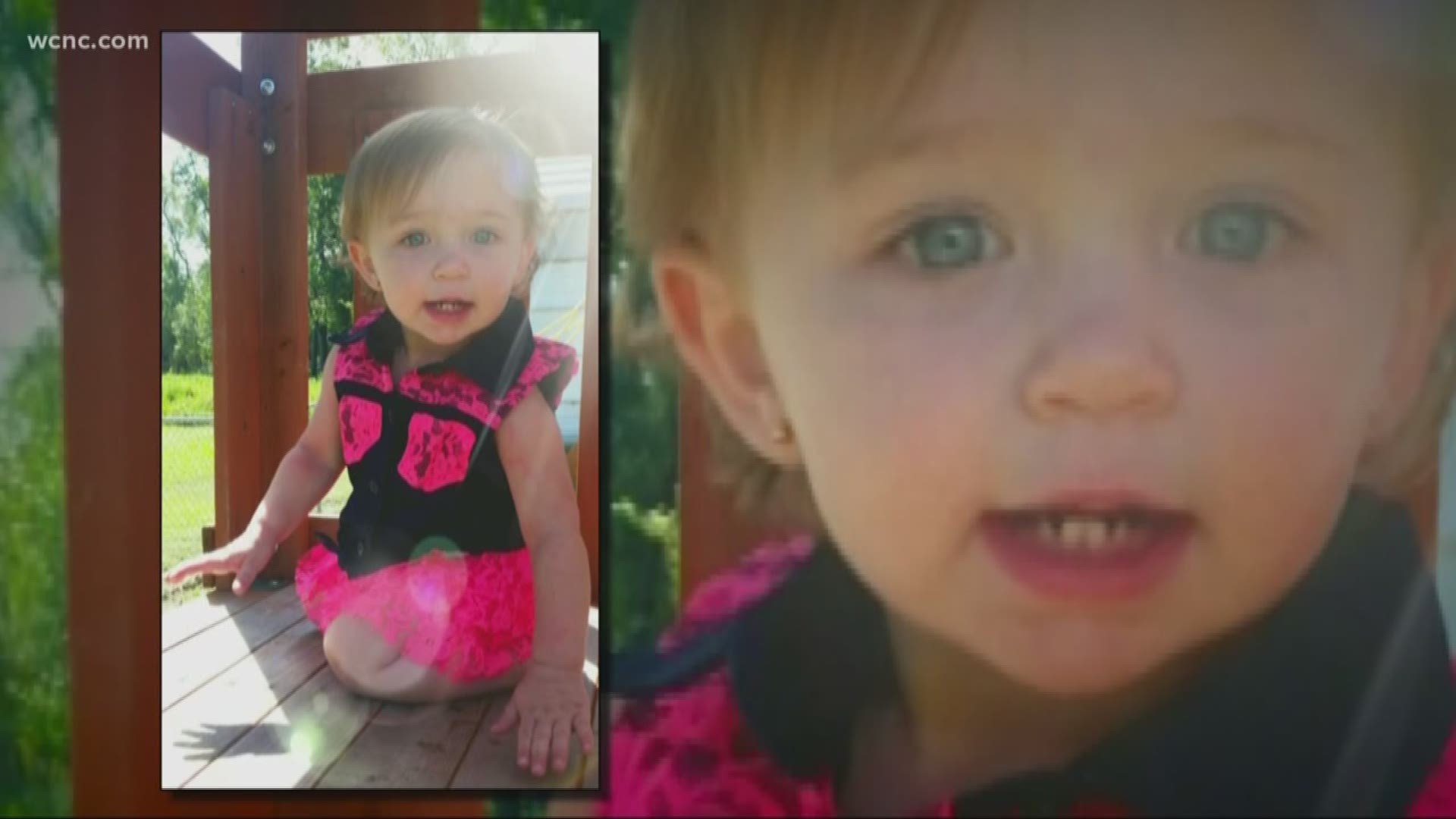NC Child Attacked By Family Dog Dies | wfmynews2.com