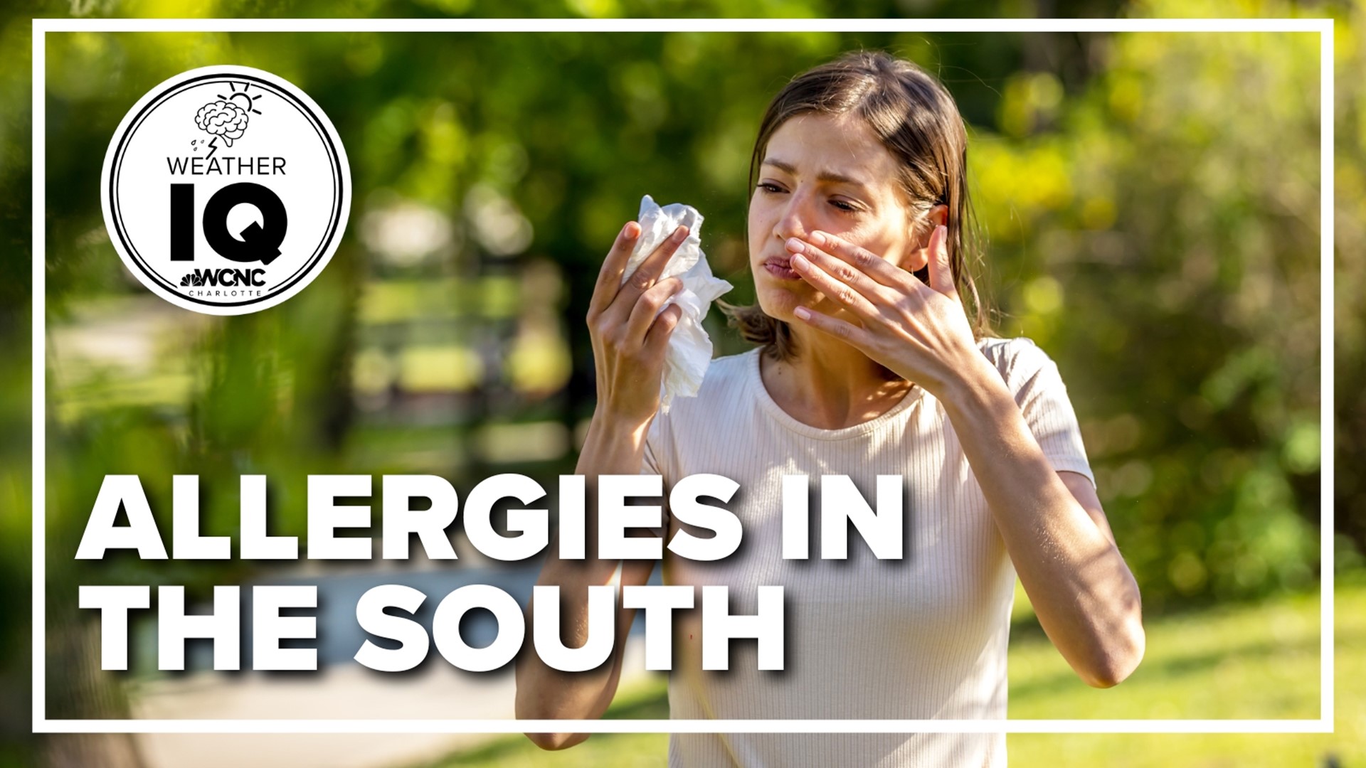 This is why pollen makes allergies so bad in the Carolinas | wfmynews2.com