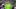 11-year-old Brexton Busch races for first time since NASCAR champion ...